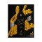 Johnnie Walker Black Label Gift Pack with 2 Highball Glass